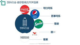 199it 互聯(lián)網(wǎng)數(shù)據(jù)中心的卓越服務(wù)與價(jià)值