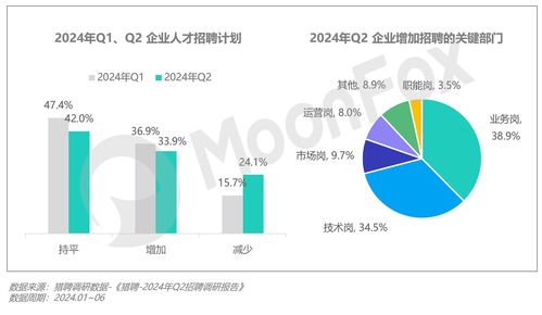 2024年第二季度中國移動互聯網行業數據研究報告